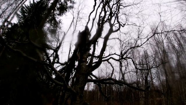 Охота с гончими.