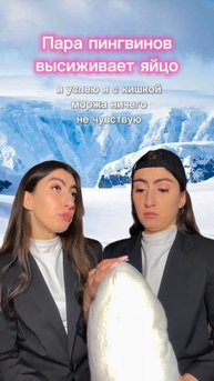 Снимаю юмор про животных