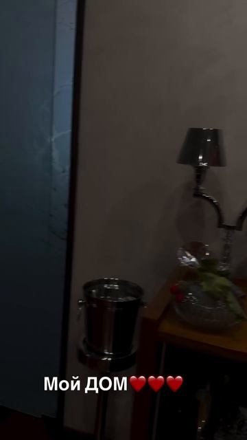 После развода с мужем Полина Диброва переехала в новый особняк