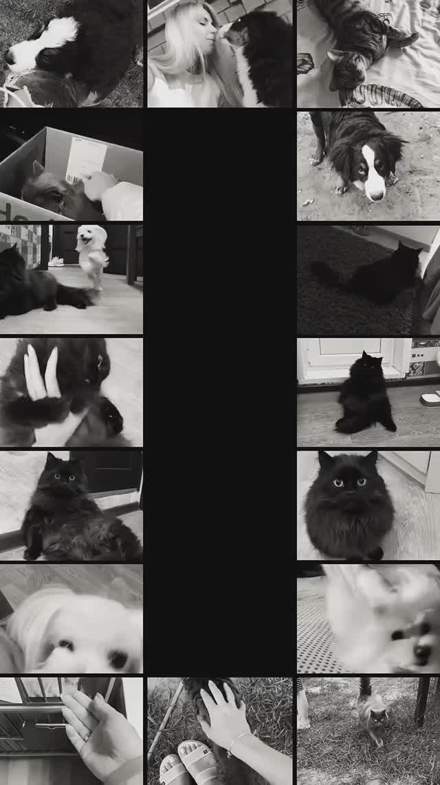 У каждого врача есть свой друг дома,которого он принёс когда-то с работы 💚