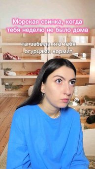Юмор про свинок