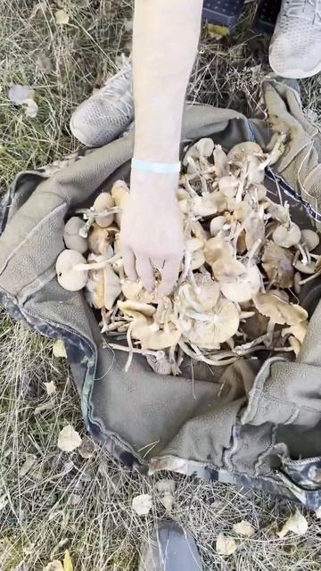 Димка Рассеянник. Жизнь с РС на позитиве все успели😁🙏🏻 Чего и всем желаем!