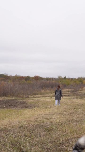 продажа земли