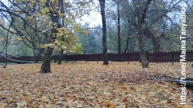 Воронцовский парк