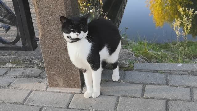 ОДНО ОСЕННЕЕ УТРО И КОФЕ В КАФЕ