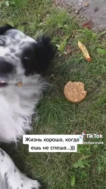 Нравится есть...)))