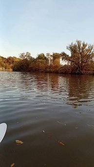 TORONTO HAMBER RIVER,OCTOBER 18 2025 (2)