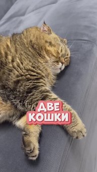 Ни о чем не жалеем 😉😘