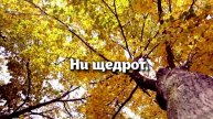 доброе утро осень