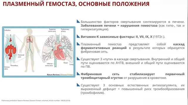 Система гемостаза у пожилого человека: ключевые особенности, основные принципы профилактики
