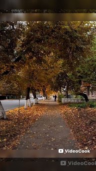 ИИ-"В пламени огня"(На Сицилийском и Абхазском языках)
Автор текста я
Музыка и исполнение ИИ.mp4
