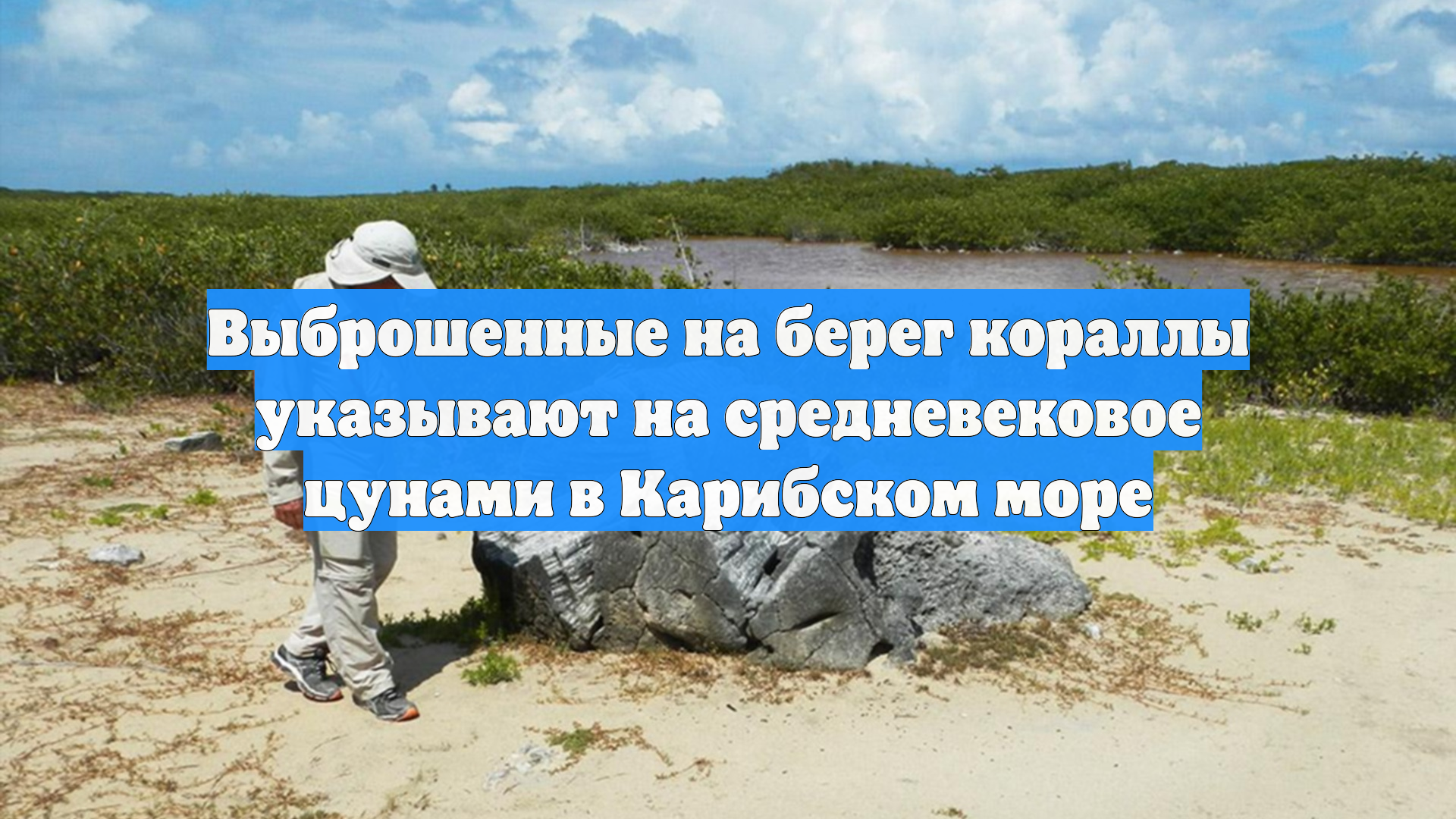 Выброшенные на берег кораллы указывают на средневековое цунами в Карибском море