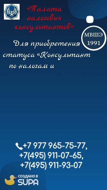 Налоговый консультант
