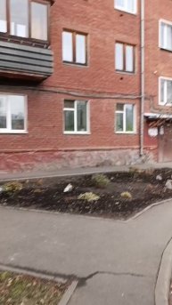 узи котику