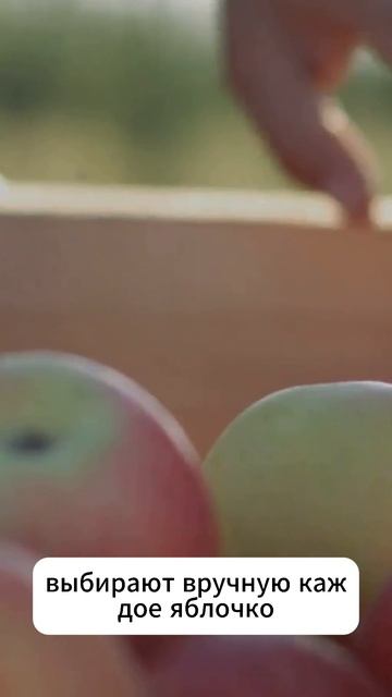 Именно таким напиткам отдаёт предпочтение душа деревенская!