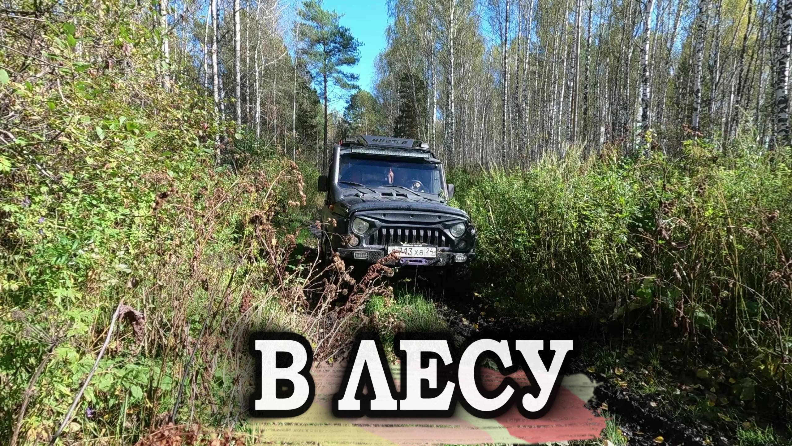 РЫБАЛКЕ КОНЕЦ Едем на тихую охоту в рыжики