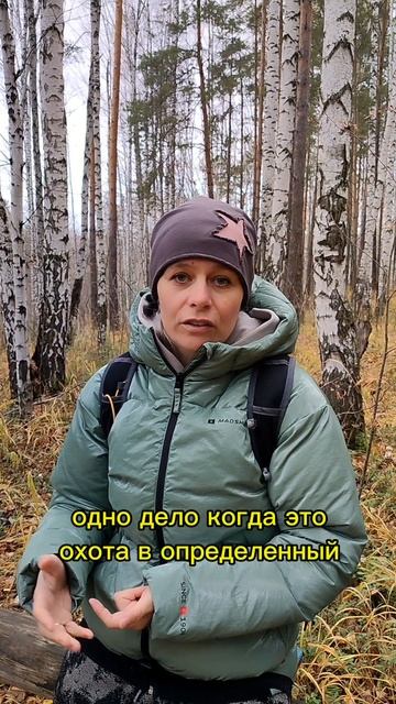 как подружиться с Духом леса