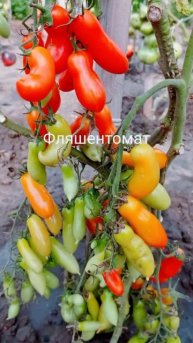 Рабочие моменты