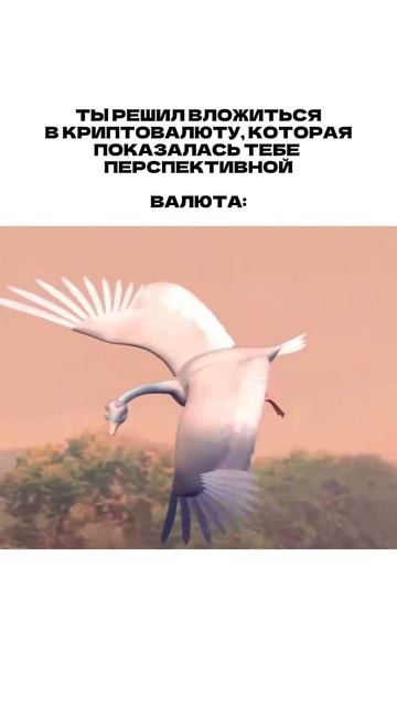 Когда вы переводите USDT и молитесь, чтобы прошло - это не финансы, это спорт.