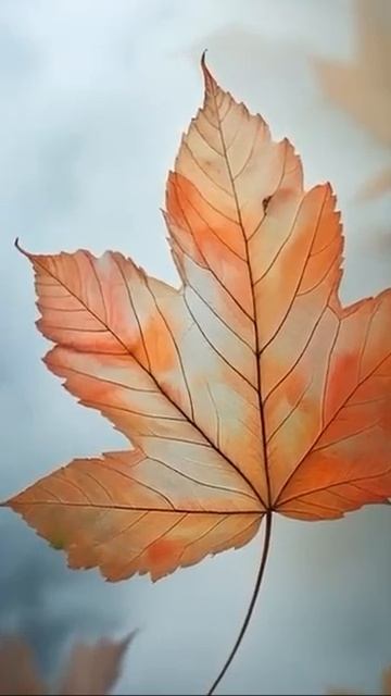 Стихотворение об осени