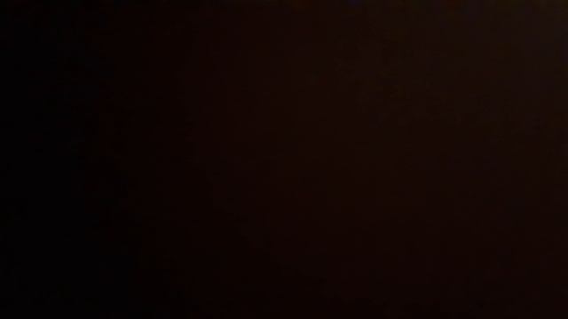 моя игрушечная собачка джуся история злой огнезвёзд коты воители приврошение каролины это я каролина