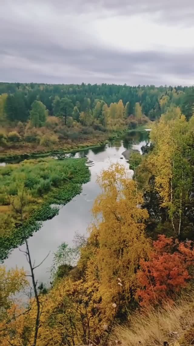 ЭКО-маршрут "Оленьи ручьи". Осень