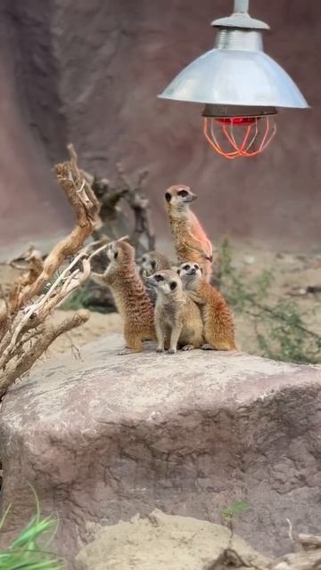 Суета 😉🤩👍☺️🥰