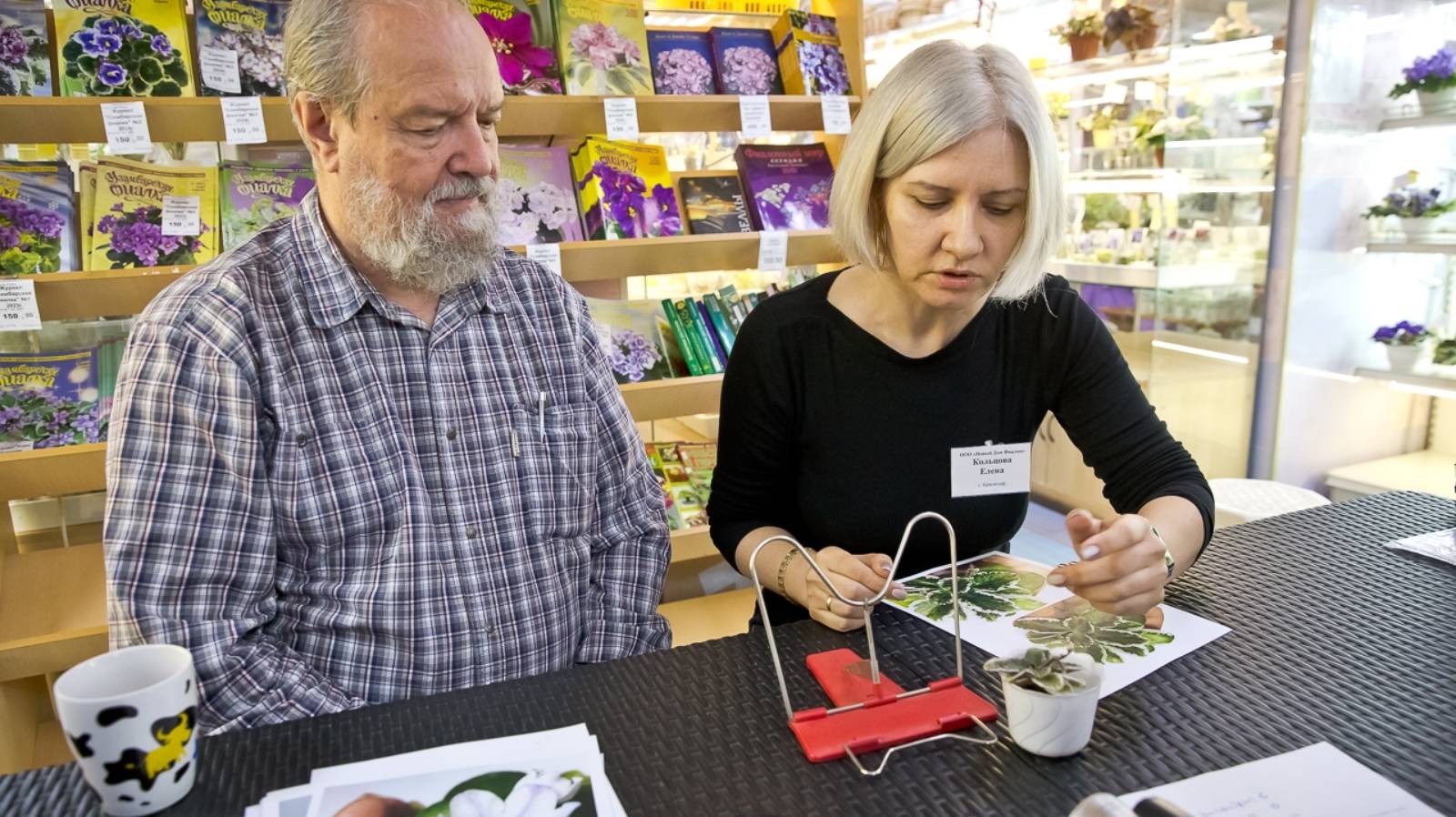 ДФ.IX съезд селекционеров. Е.Кольцова (г.Краснодар)