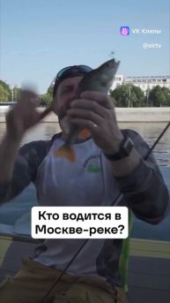 #рыбалка #рыбалказарулем #рабак