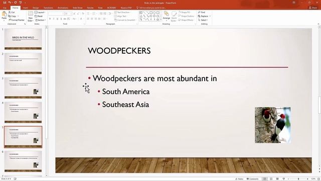 PowerDirector 24...- Как импортировать слайды PowerPoint в PowerDirector (также работает в PD365)
