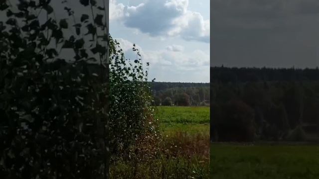 Не хватает тебя Папа...