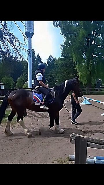 оживила своё фото с конюшни с помощью неиросеть Алиса.✨