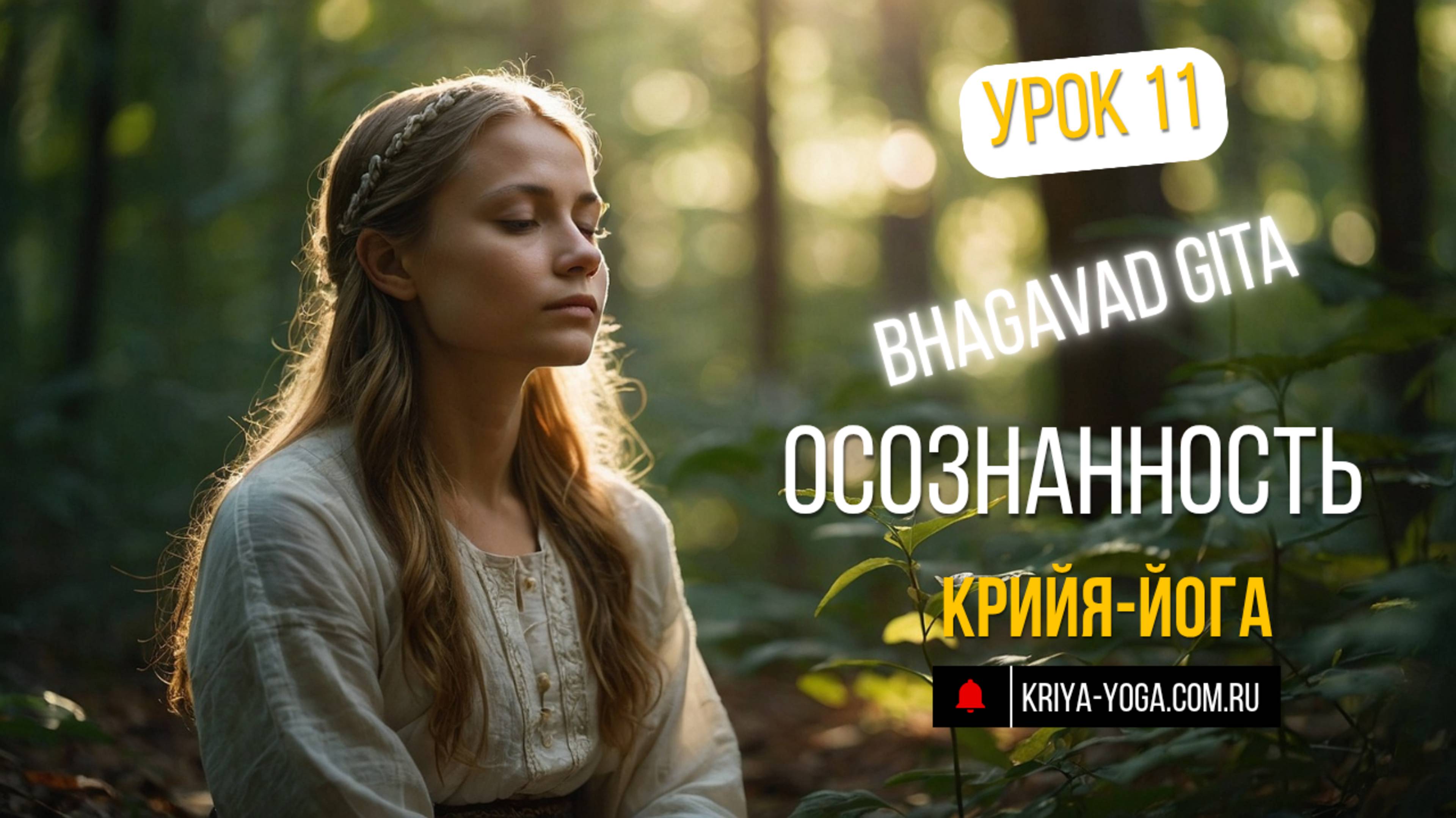 Урок 11. Бхагавад Гита. Никам карма- действия без желания плодов и не привязанности.