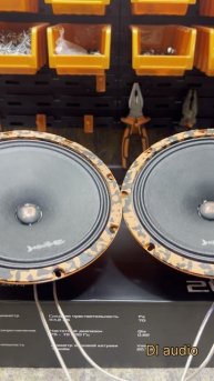Barracuda 200 V.2 от Dl audio