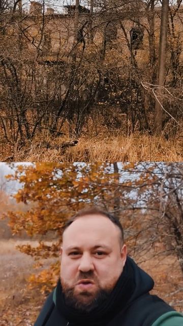 Стас Пухх: Радиация, Грибы и Поиск Вдохновения в Полесском Заповеднике! ☢️🍄