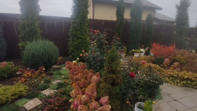 Снова враньё. Деревенский дневник.