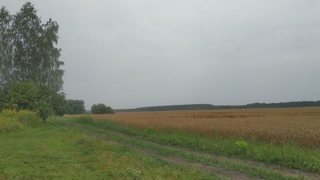 Воспоминание о лете