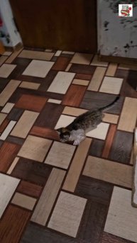 Вербусина Доча завтра утром уезжает в новый дом  😻❤️🏡