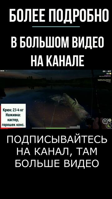 Трофейный Лещ на реке Пра.The Fisher Online