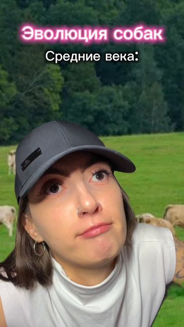 А ваша собака так делает?