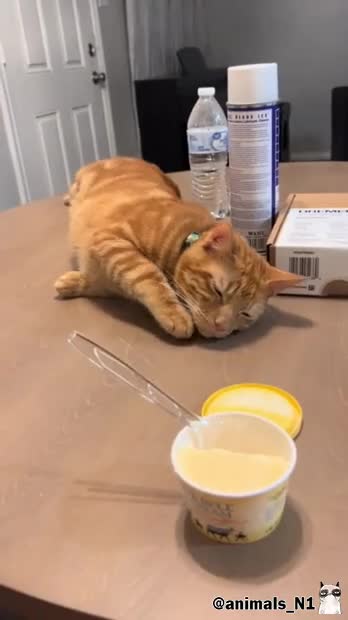 Просто притворяйся, что спишь