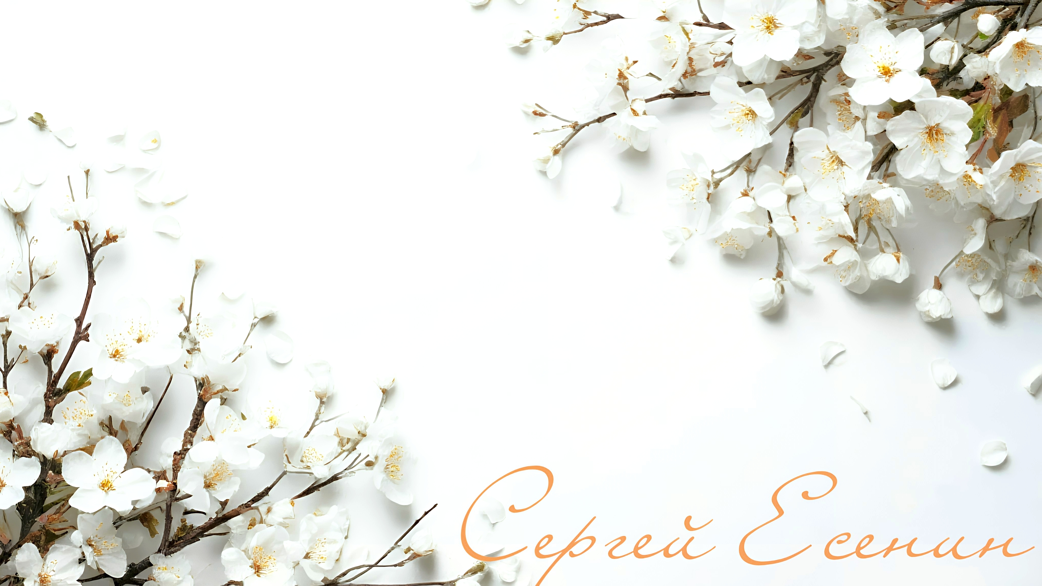 Есенин - Темна ноченька, не спится