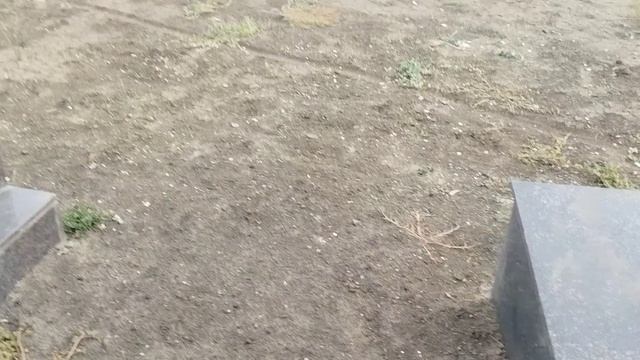 Прогулка по парку Победы.