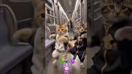 1000407132.mp4
