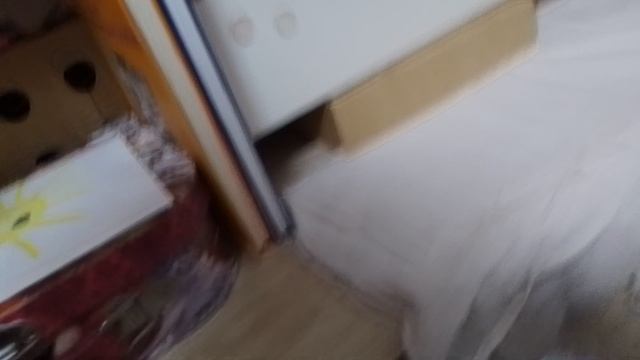 влог влог влог влог утренний волк