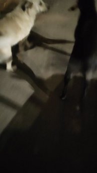 Весёлые ребята!