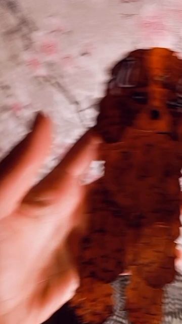 вот вам 😍😍😍😍🥰😊короткое видео🫶🏻