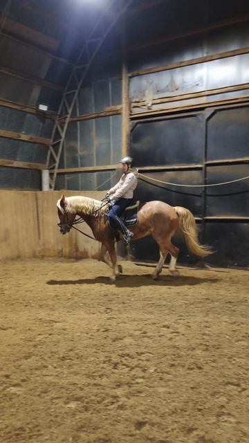 Анна и Каспер, подъем в галоп в углу в манеже.