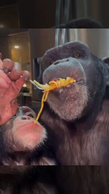 Холодильник на замочек и баиньки.