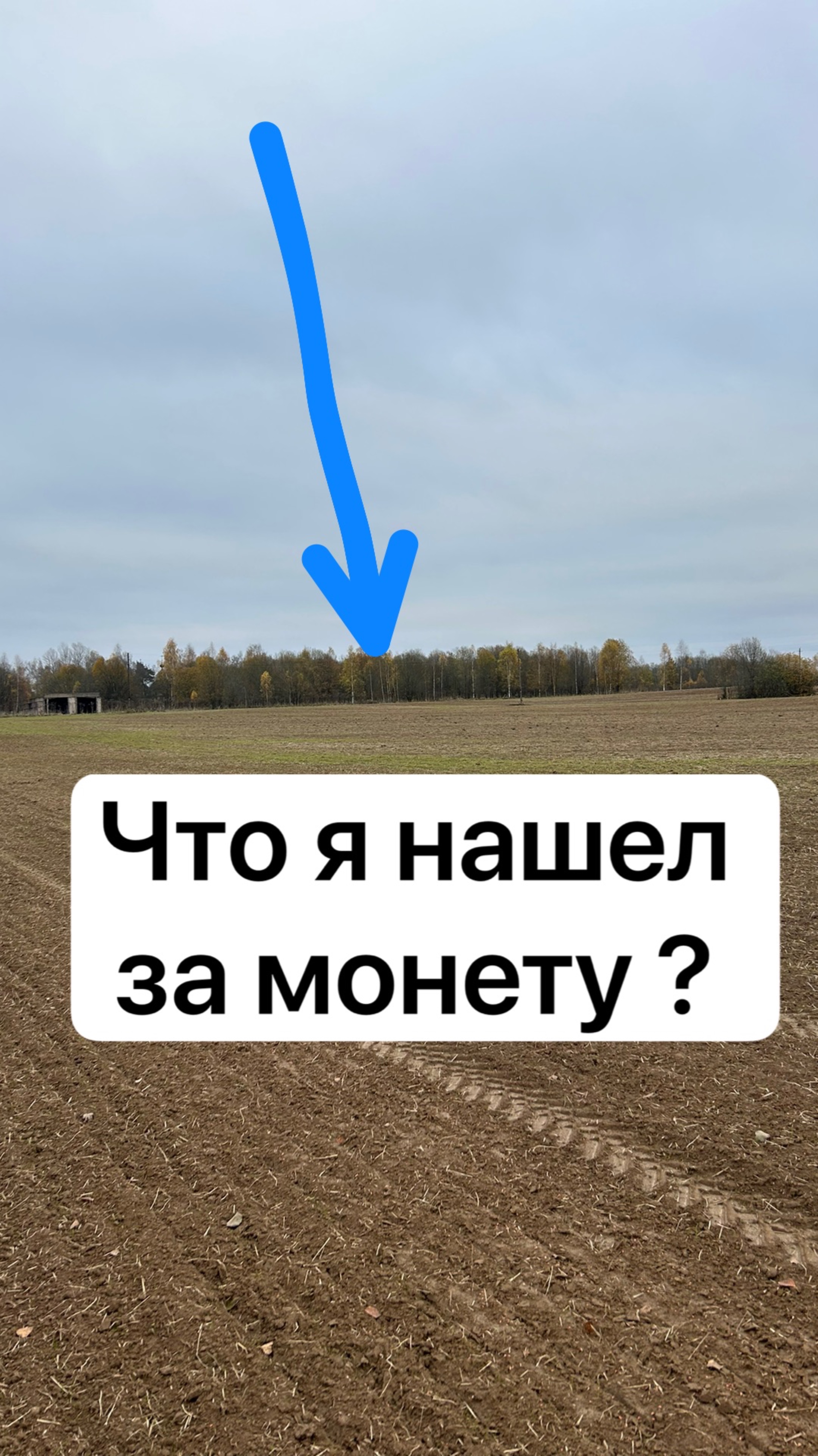 Копай монеты на поле